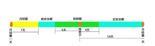 女性排卵期怎么計算最準確