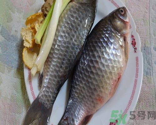 上火了能吃鯽魚(yú)嗎 上火吃鯽魚(yú)有什么影響