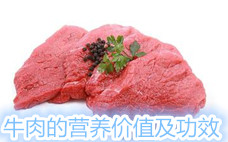 鹵牛肉有營養(yǎng)還是新鮮牛肉有營養(yǎng) 鹵牛肉的營養(yǎng)價(jià)值和功效