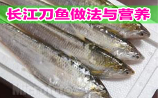 秋刀魚是刀魚嗎？秋刀魚和刀魚的區(qū)別