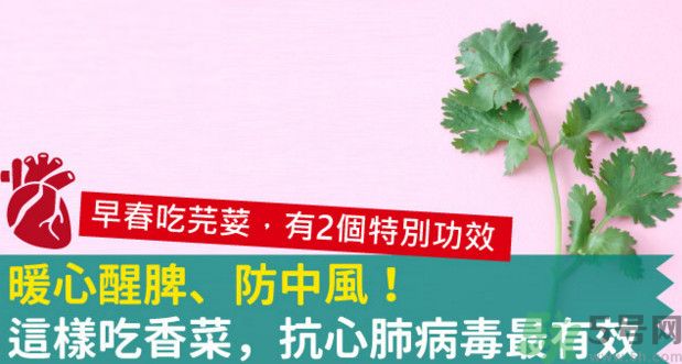 春天吃香菜好嗎？春天吃香菜有什么好處？