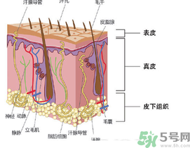 為什么頭發(fā)越來越油？頭發(fā)應(yīng)該幾天洗一次？