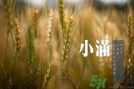 小滿(mǎn)名字的由來(lái)？小滿(mǎn)是什么意思？