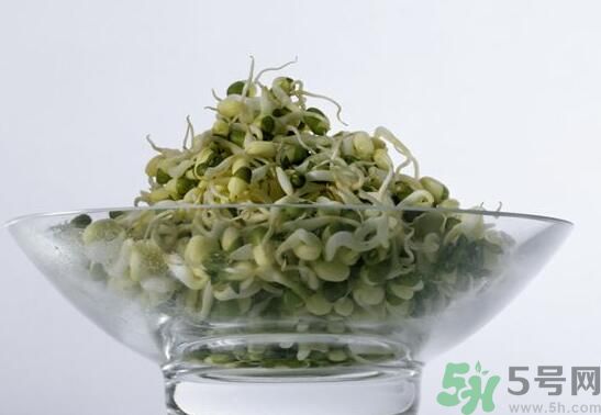 夏天吃綠豆芽可以清火嗎？夏天吃綠豆芽能降火嗎？