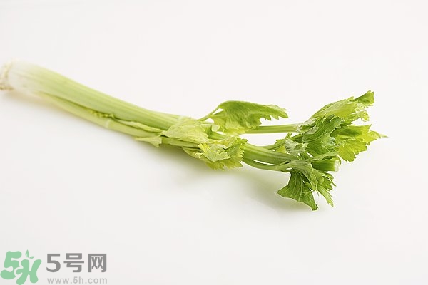 芹菜對精子有害嗎？芹菜對精子質(zhì)量有什么影響？