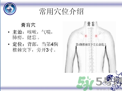 三伏貼可以貼肚臍嗎？三伏貼可以貼肚臍眼嗎？