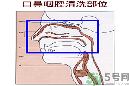 鼻炎能用生理鹽水清理鼻腔嗎？鼻炎能不能用生理鹽水清理鼻腔？