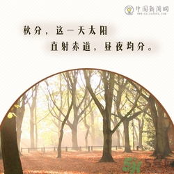 立秋是秋分嗎？立秋和秋分的區(qū)別？