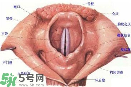 慢性咽炎的發(fā)病因素？慢性咽炎的并發(fā)癥有哪些？