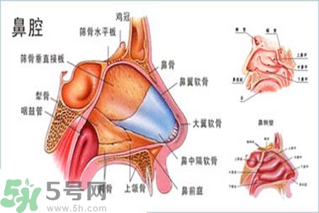 鼻竇炎的護(hù)理措施？鼻竇炎的飲食護(hù)理？