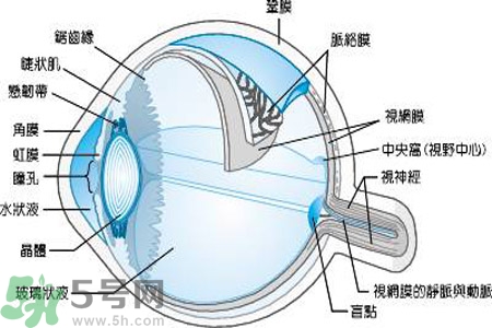 近視眼是什么？近視眼的癥狀有哪些？