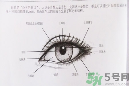 白內(nèi)障的發(fā)病因素是什么？白內(nèi)障并發(fā)癥有哪些？