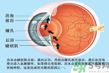 青光眼是什么？青光眼癥狀有什么？