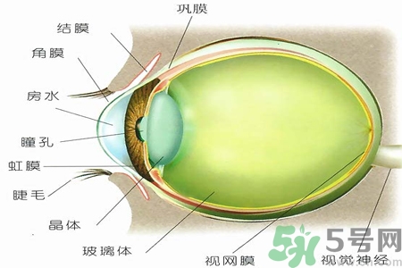 青光眼的治療方法有哪些？青光眼可以哪些藥物治療？