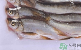 鯛魚(yú)的營(yíng)養(yǎng)價(jià)值 鯛魚(yú)的功效與作用及食用方法