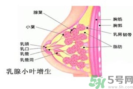 女性乳腺增生的原因是什么？乳腺增生的癥狀有哪些？