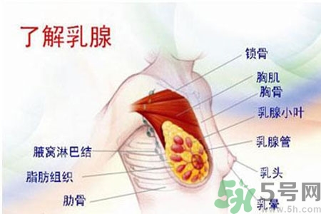 女性乳腺增生的原因是什么？乳腺增生的癥狀有哪些？