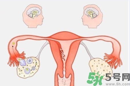 陰道出血癥狀有哪些？陰道出血需注意什么問題？