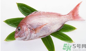 吃魚(yú)眼睛對(duì)眼睛有好處嗎？吃什么魚(yú)對(duì)眼睛好？