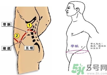 帶脈不通對人體造成的影響 帶脈不通的身體表現(xiàn)