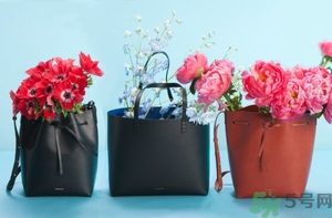 Mansur Gavriel水桶包價格多少錢？Mansur Gavriel水桶包尺寸大小