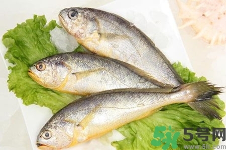 秋季適合吃什么魚？秋季吃魚的好處？