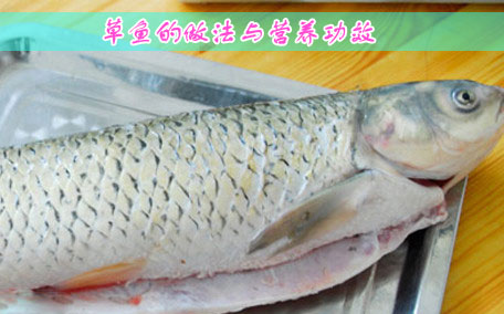 炸魚塊面粉和淀粉的比例 炸魚塊面粉怎么裹