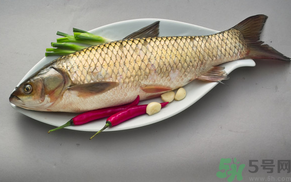 秋天怎么釣草魚(yú)？秋天草魚(yú)好釣嗎？