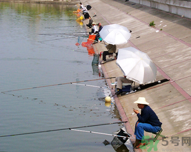 水庫釣魚用什么餌料？水庫釣魚用什么商品餌？