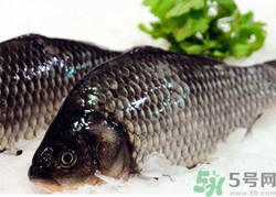 鯽魚死了一夜能吃嗎？鯽魚死了一天能吃嗎？