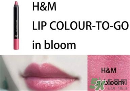 hm唇膏筆人魚姬色號 hm唇膏筆inbloom