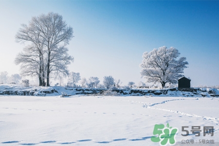 下雪天會打雷嗎？下雪天為什么會大雷？