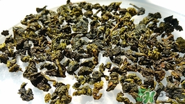 苦丁茶和菊花能一起泡嗎?苦丁茶和菊花一起泡會怎么樣