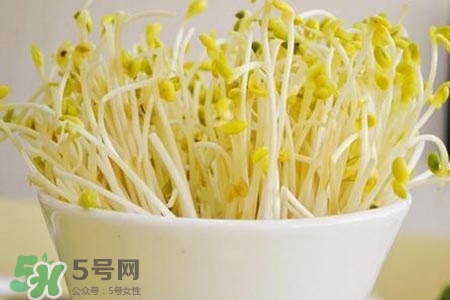 冬天可以發(fā)豆芽嗎？冬天怎樣發(fā)黃豆芽？