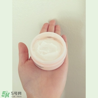 the body shop維e晚霜怎么用？美體小鋪維e晚霜使用方法