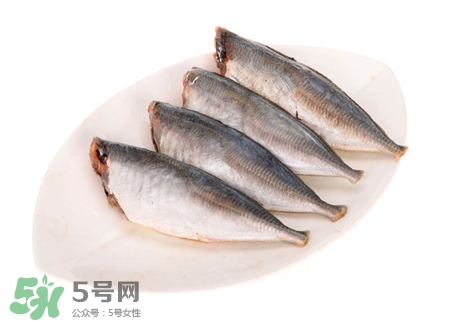 沙丁魚的營(yíng)養(yǎng)價(jià)值 沙丁魚的功效與作用