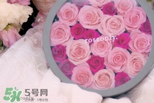 roseonly鮮花怎么保養(yǎng)？roseonly永生花怎么保養(yǎng)？