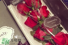 roseonly鮮花怎么保養(yǎng)？roseonly永生花怎么保養(yǎng)？