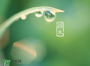 雨水吃什么？雨水節(jié)氣飲食禁忌？