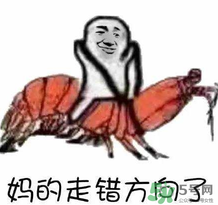 說人皮皮蝦是什么意思？女生叫男生皮皮蝦什么意思？