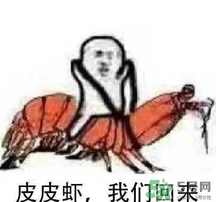 說人皮皮蝦是什么意思？女生叫男生皮皮蝦什么意思？