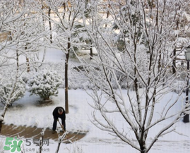 春天下雪意味著什么？春天為什么會(huì)下雪？