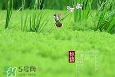 驚蟄吃什么蔬菜好？驚蟄節(jié)氣養(yǎng)生吃什么蔬菜？