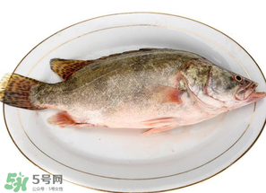 三月份吃什么魚？3月份吃什么魚好？