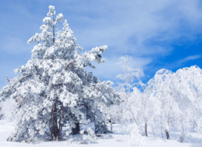 三月份還會(huì)下雪嗎？哈爾濱三月份還有雪嗎？