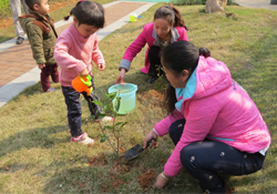 植樹節(jié)一般種什么樹？植樹節(jié)種什么樹比較好？