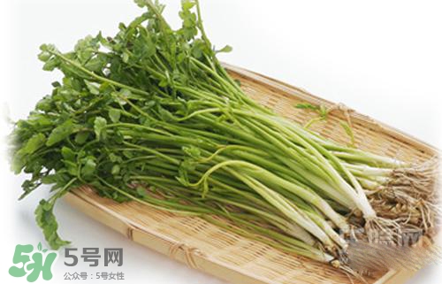 吃野芹菜會中毒嗎？吃野芹菜中毒了怎么辦？