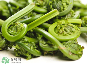 蕨菜怎么洗？蕨菜怎么清洗才干凈？