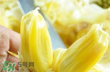 菠蘿蜜怎么吃？菠蘿蜜好吃嗎？