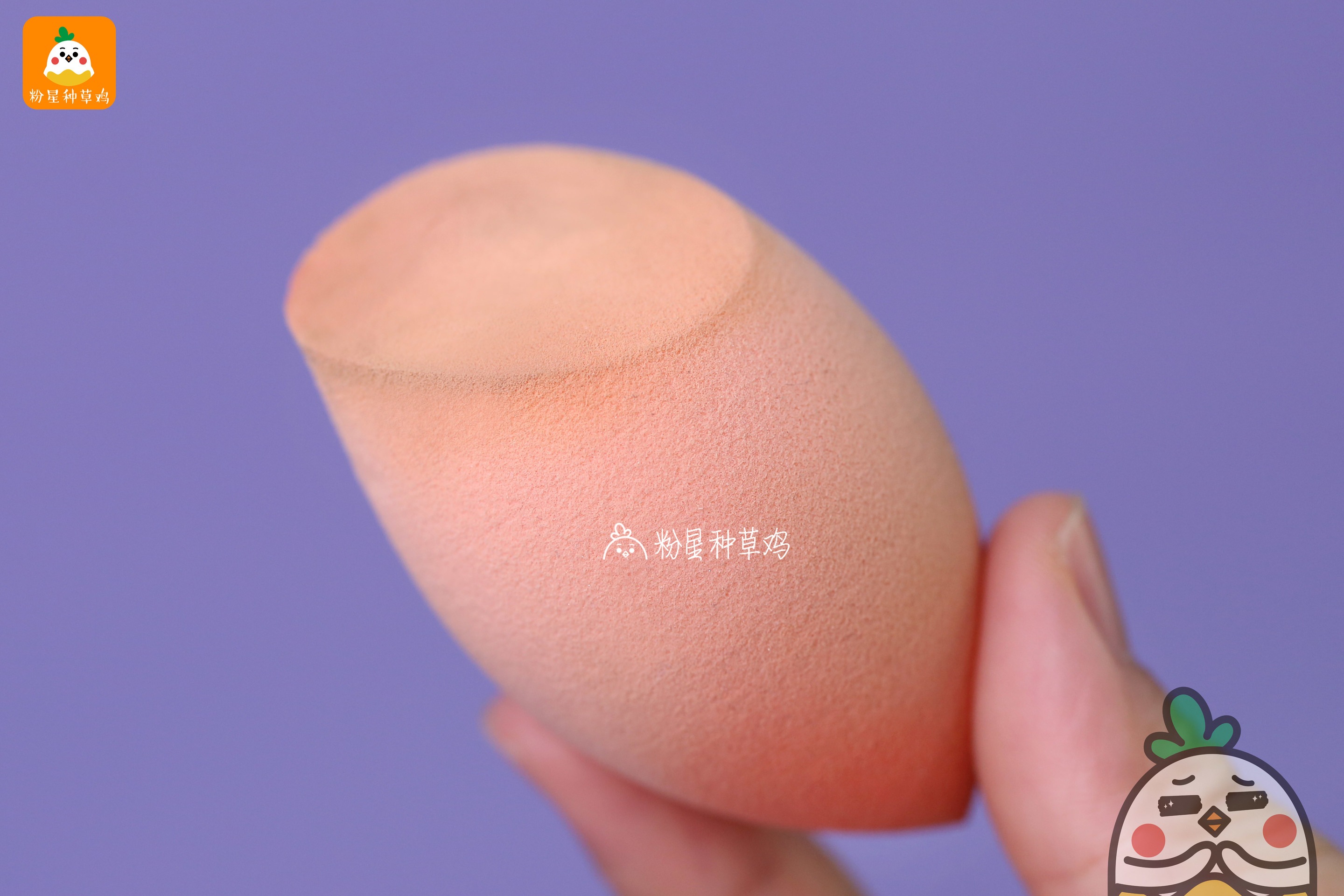 beauty blender美妝蛋和rt美妝蛋哪個(gè)好？